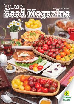 Yuksel种子杂志第7期